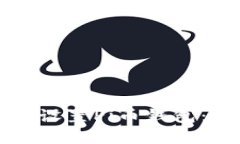 如何下载和设置Pi币钱包：一步步指南