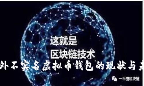 国外不实名虚拟币钱包的现状与未来