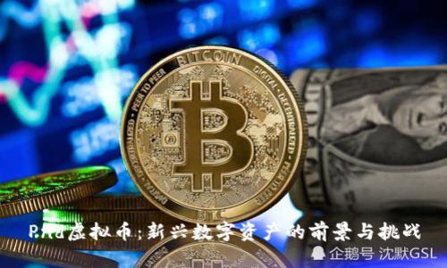 Pnd虚拟币：新兴数字资产的前景与挑战
