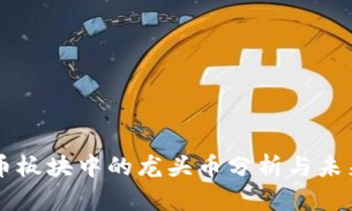 虚拟币板块中的龙头币分析与未来展望