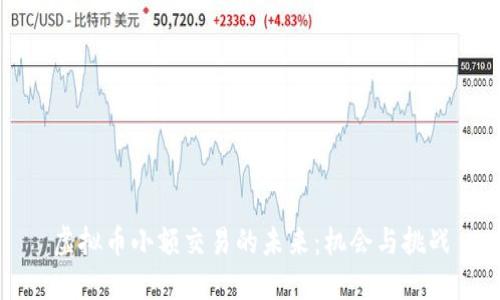 虚拟币小额交易的未来：机会与挑战