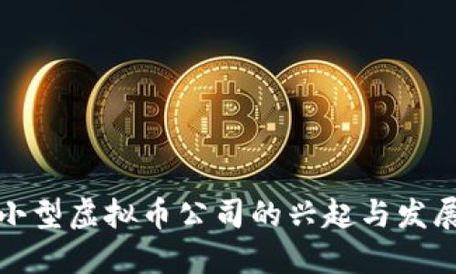 小型虚拟币公司的兴起与发展