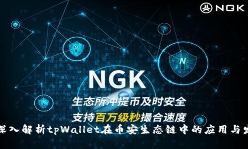 深入解析tpWallet在币安生态链中的应用与发展