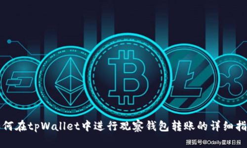 如何在tpWallet中进行观察钱包转账的详细指南