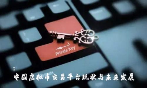 :
中国虚拟币交易平台现状与未来发展