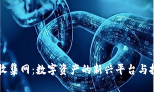 虚拟币收集网：数字资产的新兴平台与投资未来