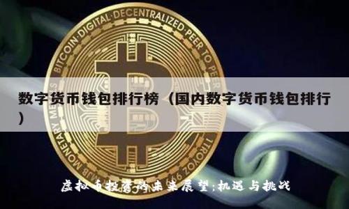 虚拟币投资的未来展望：机遇与挑战